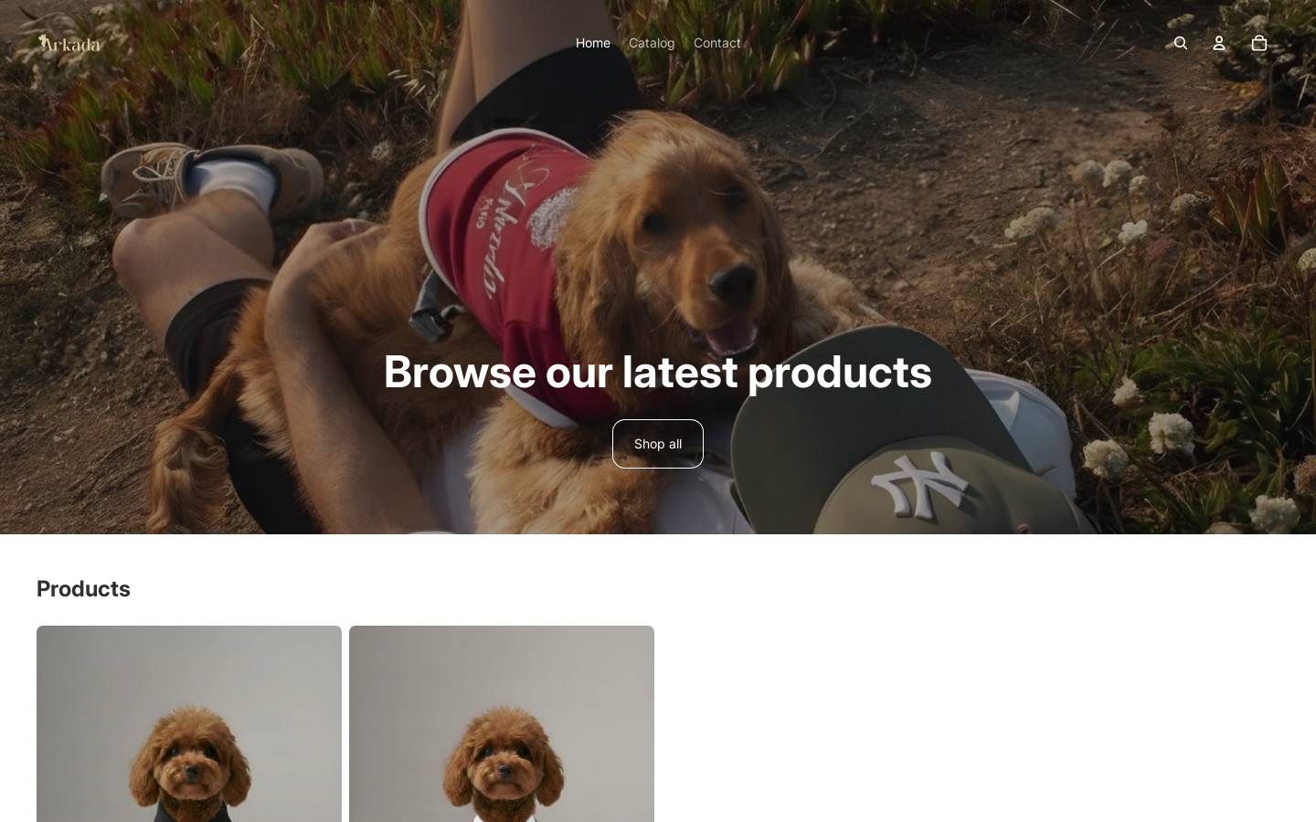 arkada.biz homepage screenshot