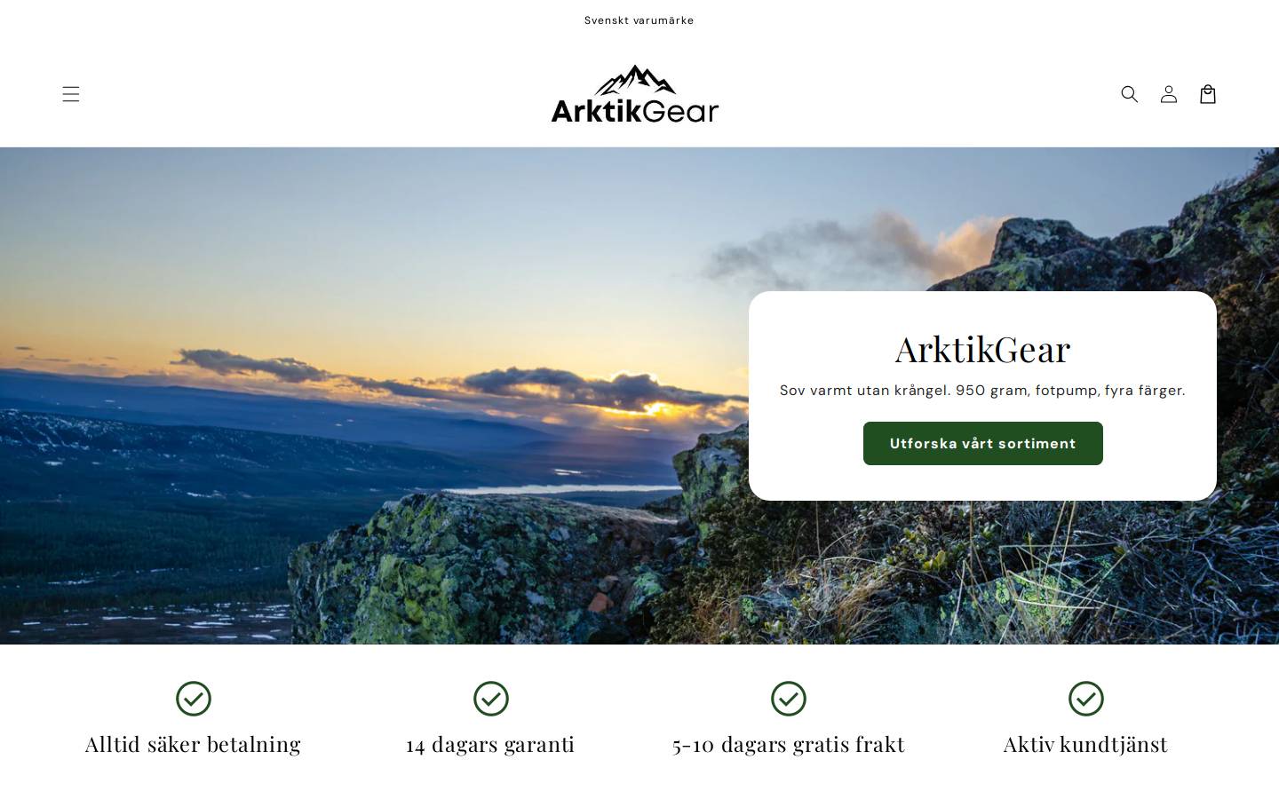 arktik.se homepage screenshot