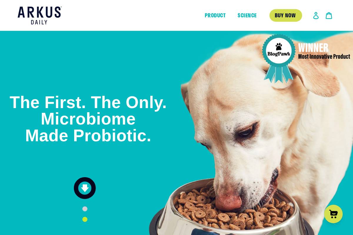 arkusdaily.com homepage screenshot