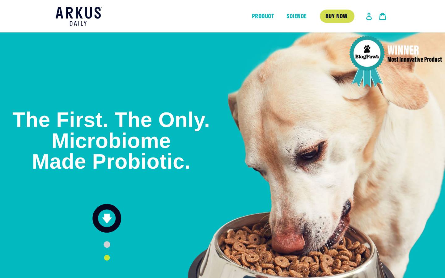 arkusdog.com homepage screenshot