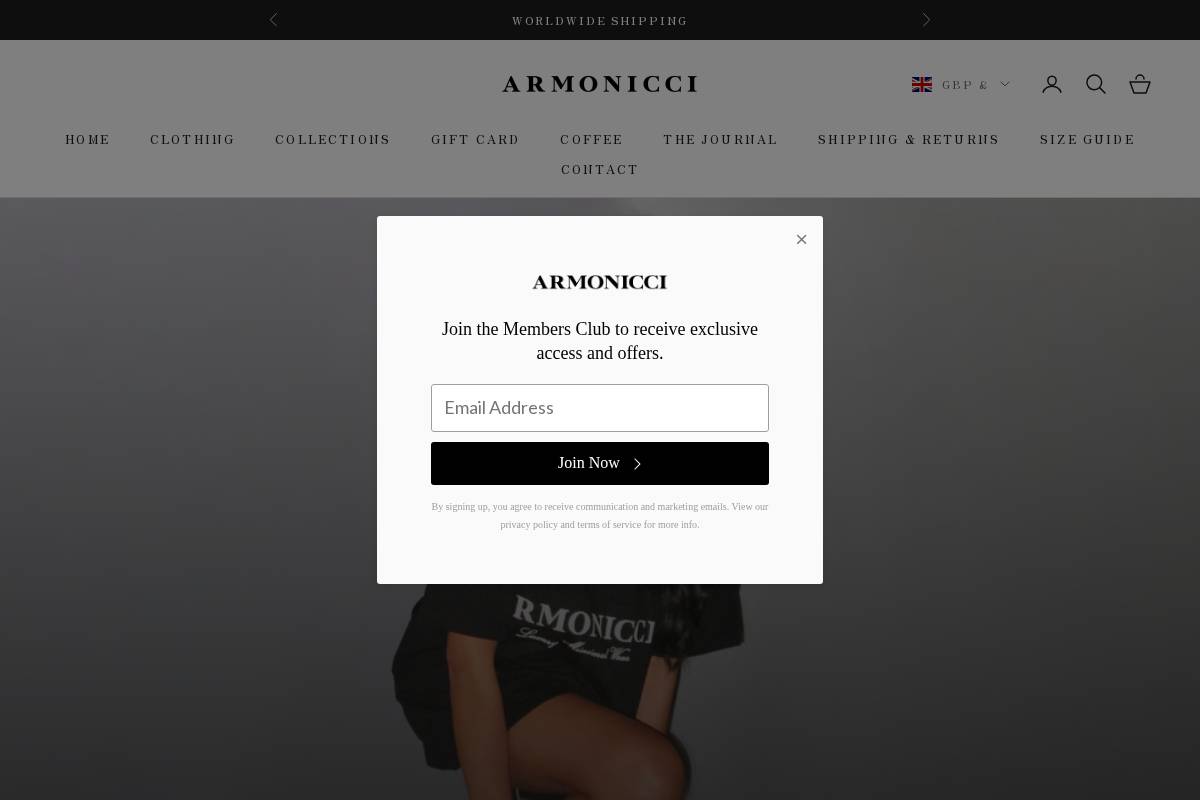 www.armonicci.com homepage screenshot