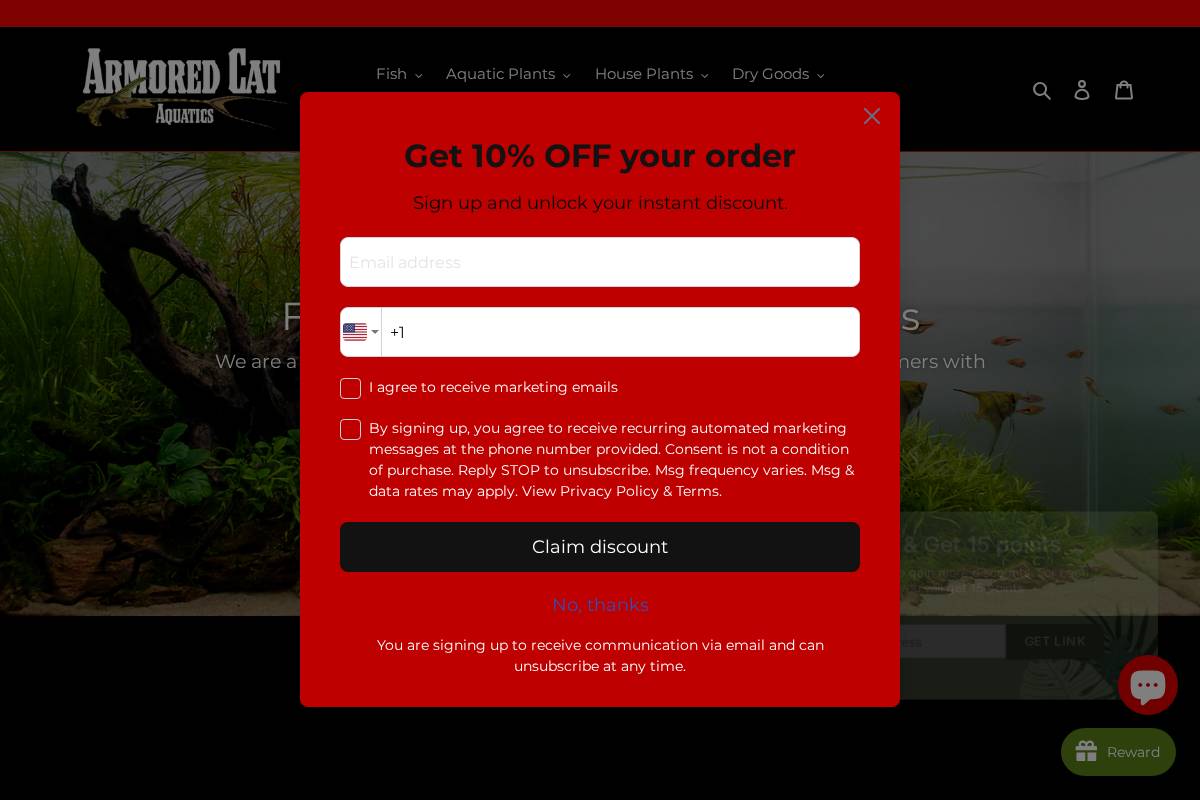 armoredcataquatics.com homepage screenshot