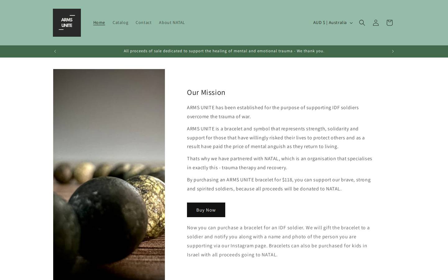 armsunite.com homepage screenshot