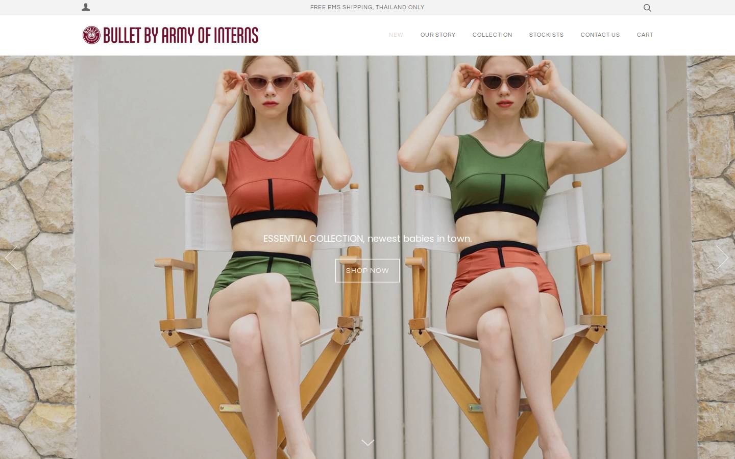armyofinterns.com homepage screenshot