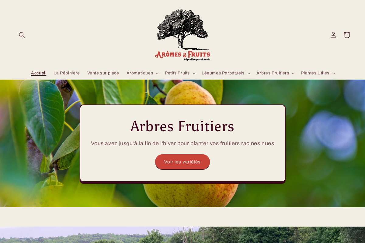 Arômes et Fruits homepage screenshot