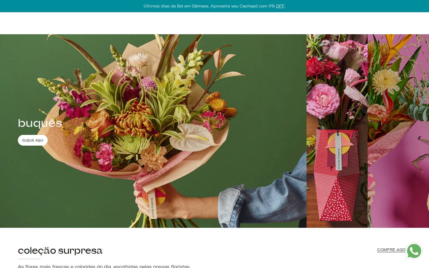 arranjotropical.com.br homepage screenshot