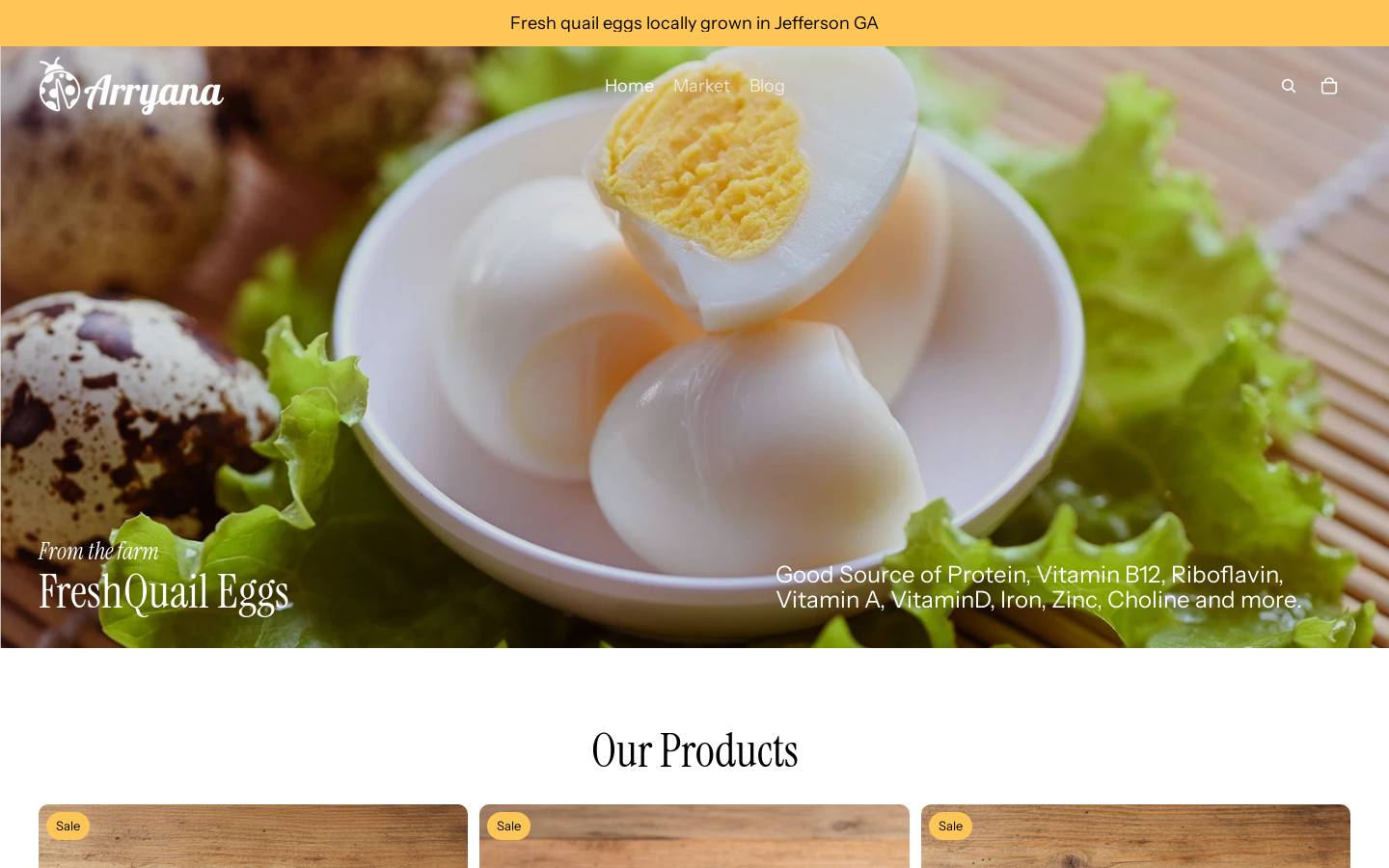 arryana.com homepage screenshot