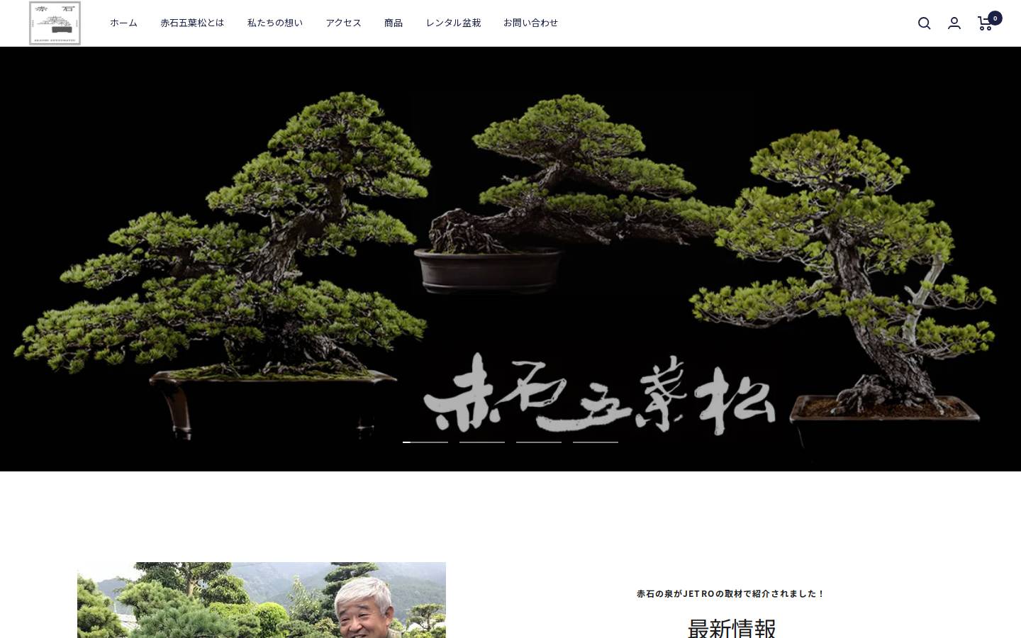 art-bonsai.com homepage screenshot