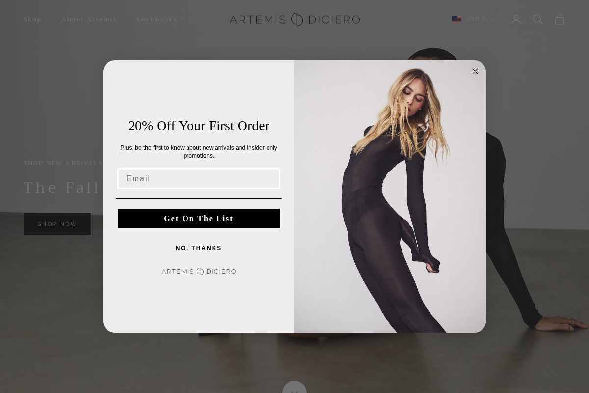 Artemis Diciero homepage screenshot
