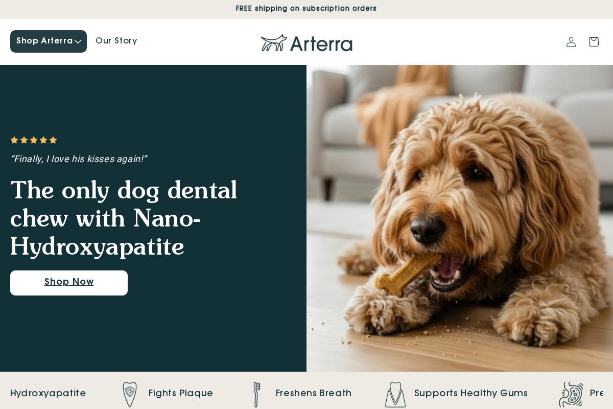 Arterrapet homepage screenshot