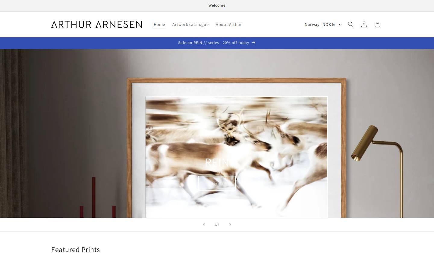 arthurarnesen.com homepage screenshot