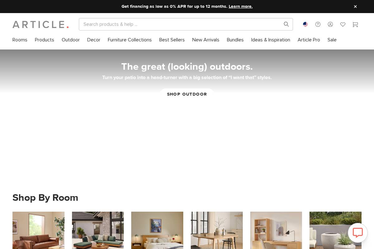 Article homepage screenshot