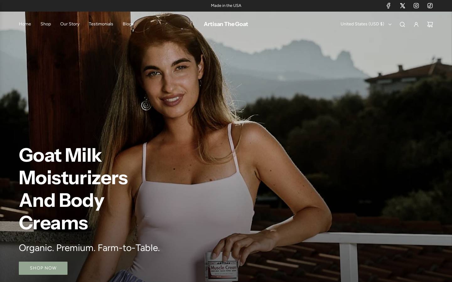 artiisancream.com homepage screenshot