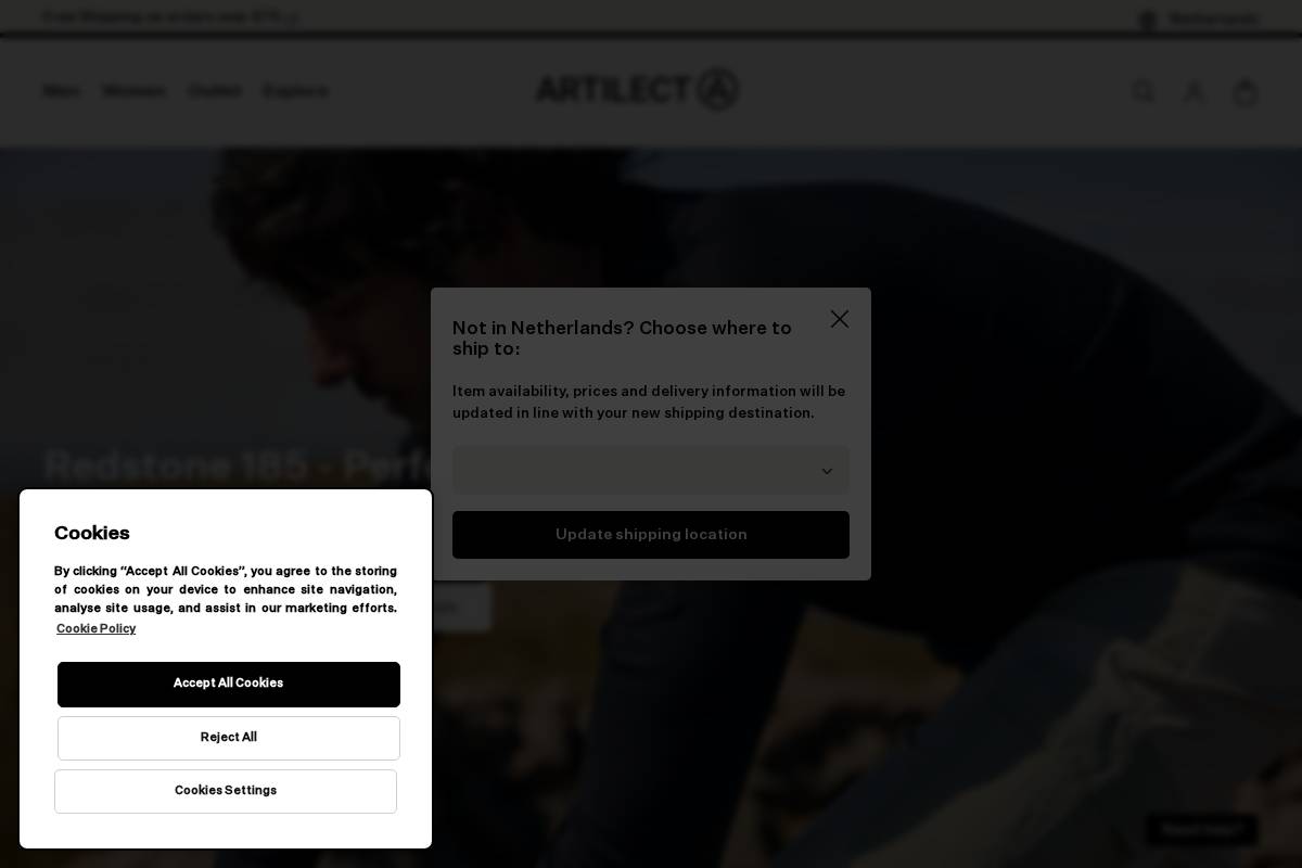 Artilect homepage screenshot