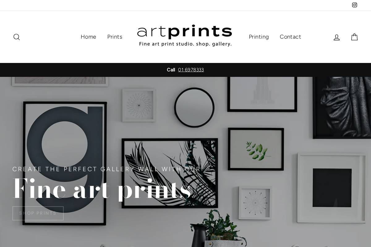 artprints.ie homepage screenshot