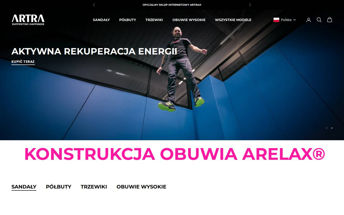 artra.pl homepage screenshot