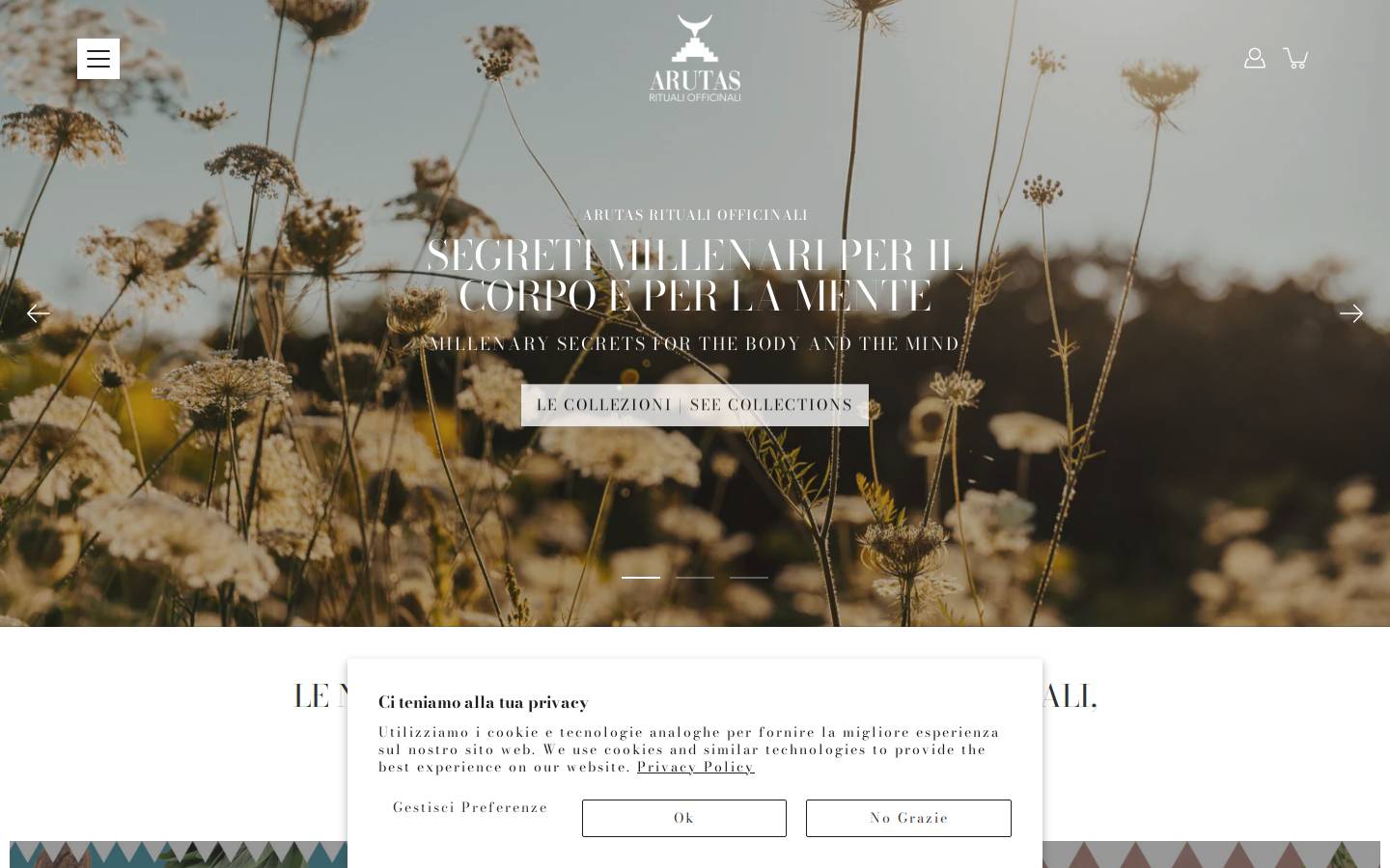 arutas.it homepage screenshot