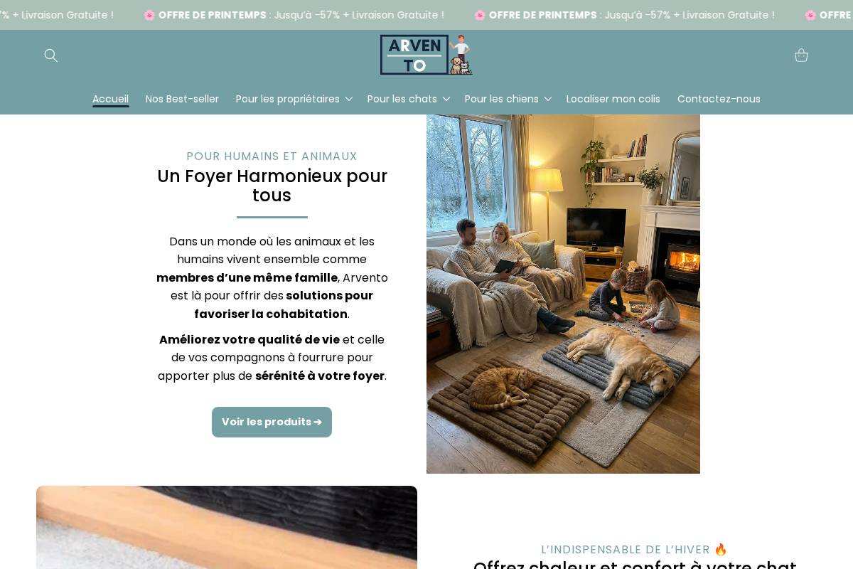 Arvento Shop homepage screenshot