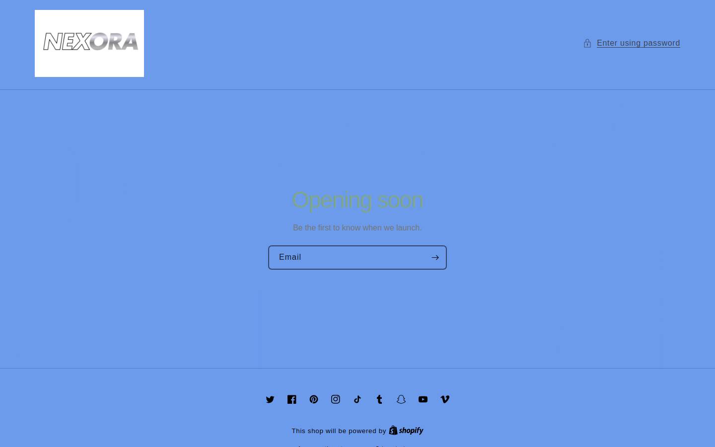 arvie.shop homepage screenshot