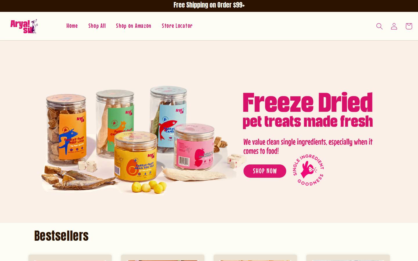 aryasit.com homepage screenshot