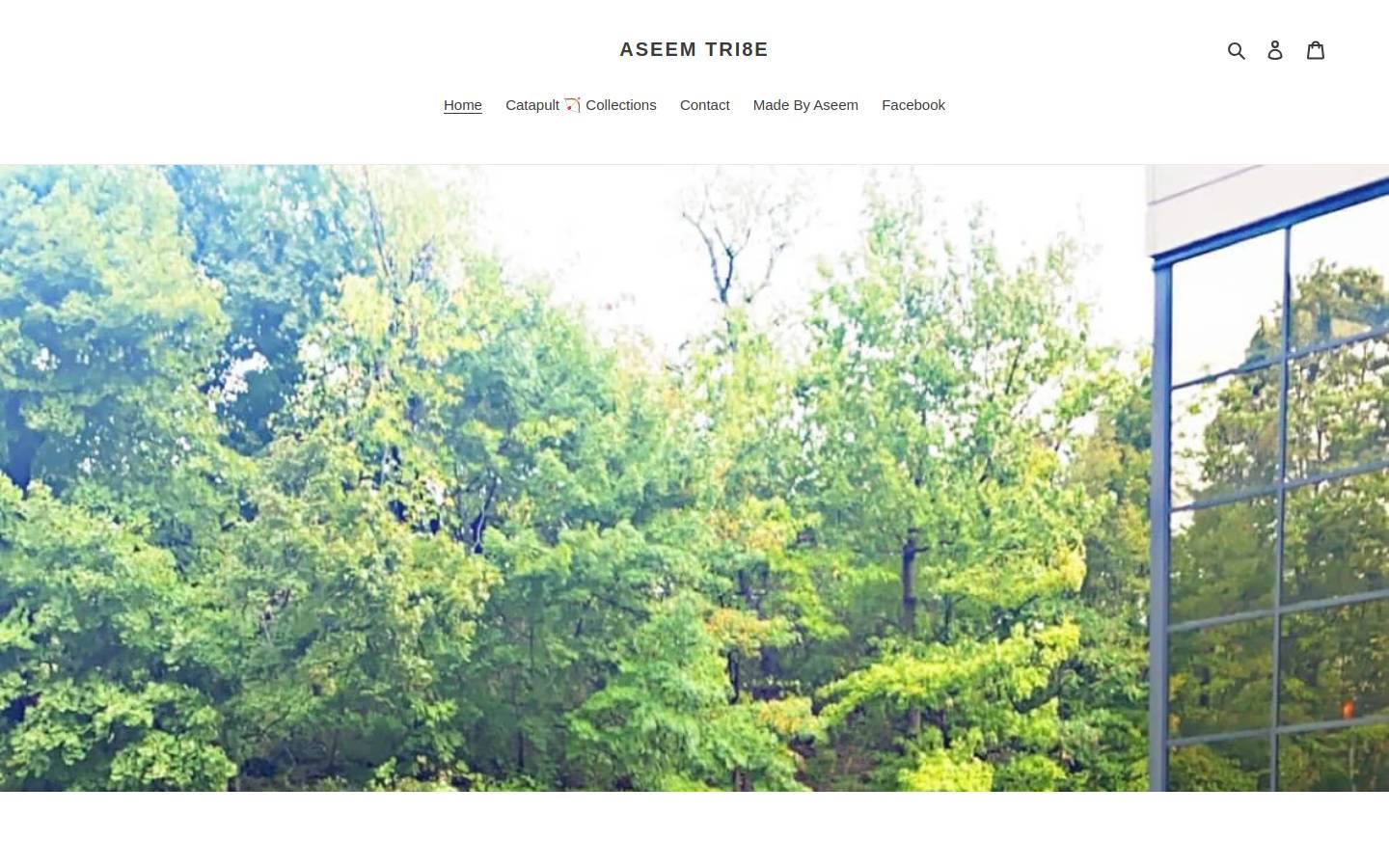 aseemtri8e.com homepage screenshot
