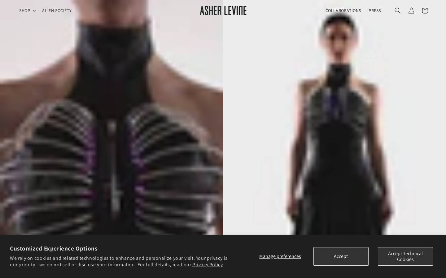 asherlevine.com homepage screenshot