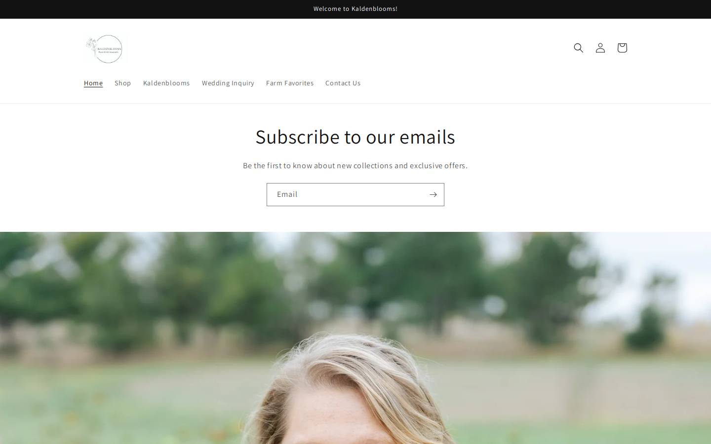 ashleykaldenberg.com homepage screenshot