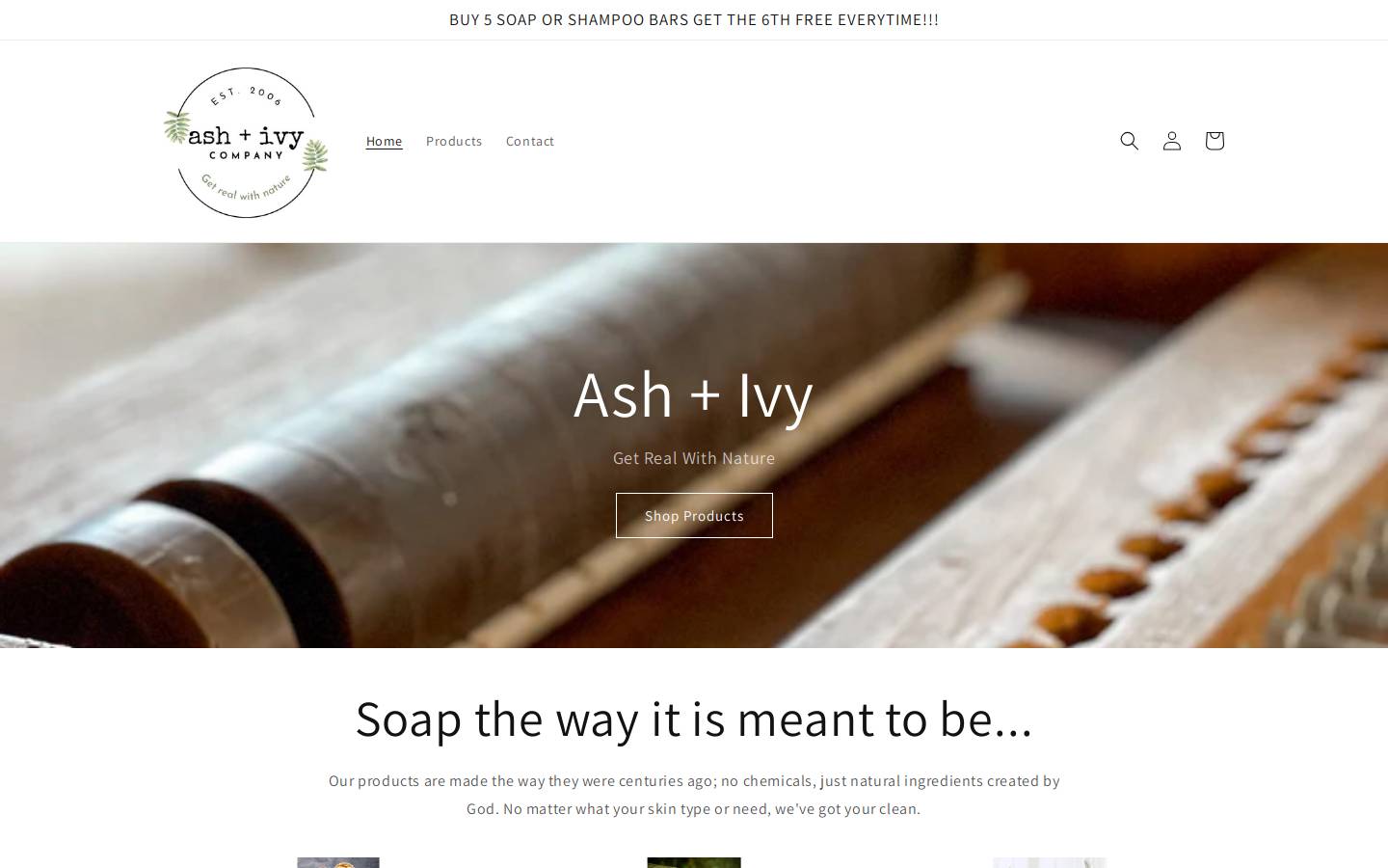 ashnivy.com homepage screenshot