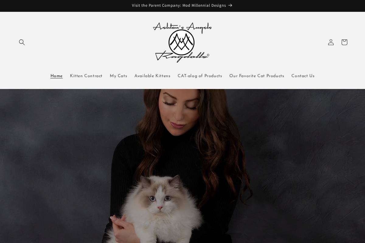 ashtonsangelsragdolls.com homepage screenshot
