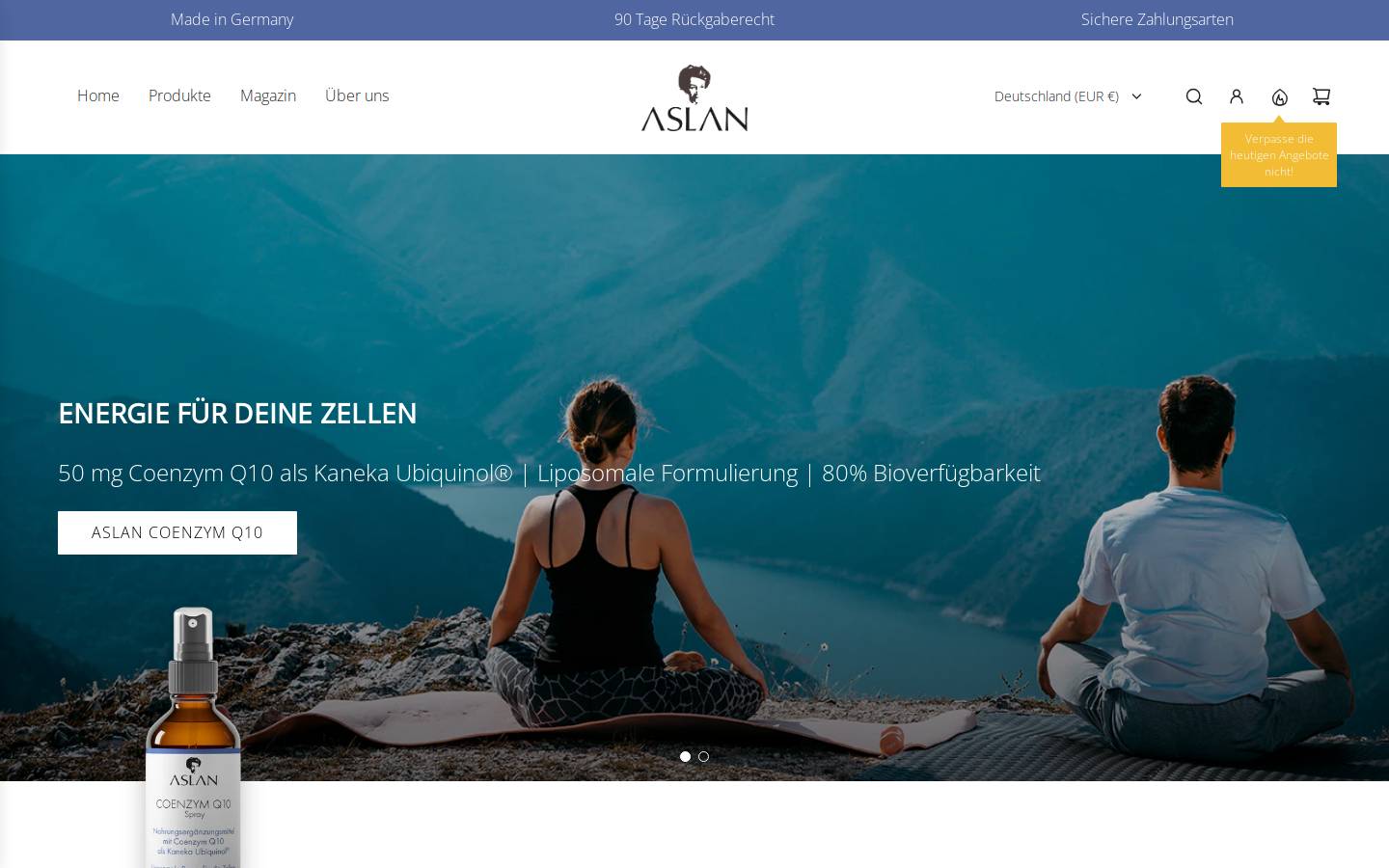 aslan.de homepage screenshot