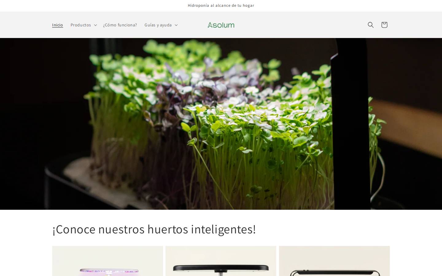 asolum.cl homepage screenshot