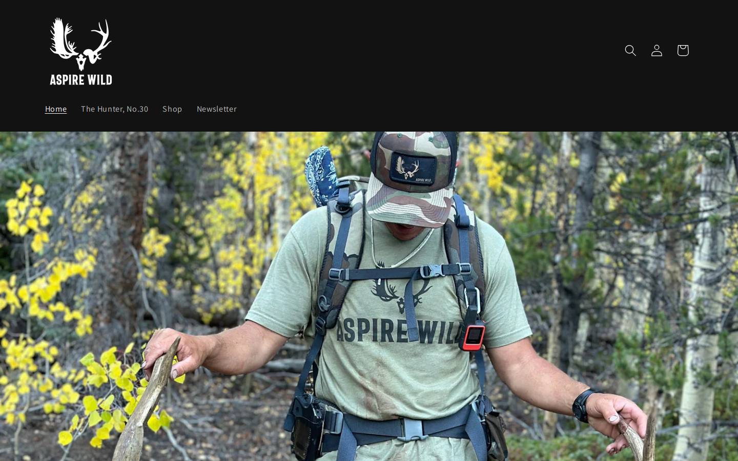 aspirewild.com homepage screenshot