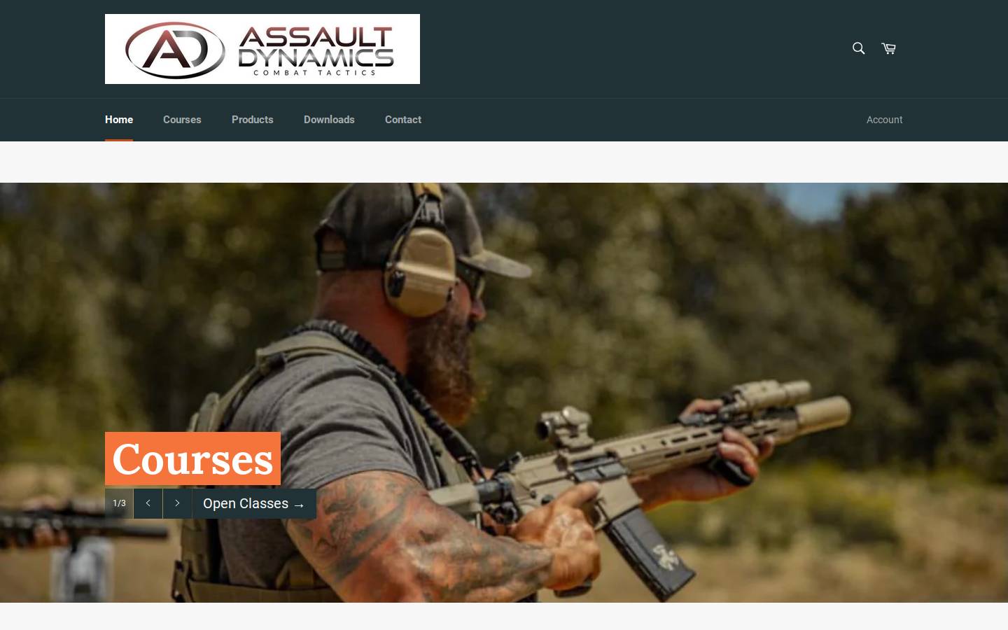 assaultdynamics.com homepage screenshot