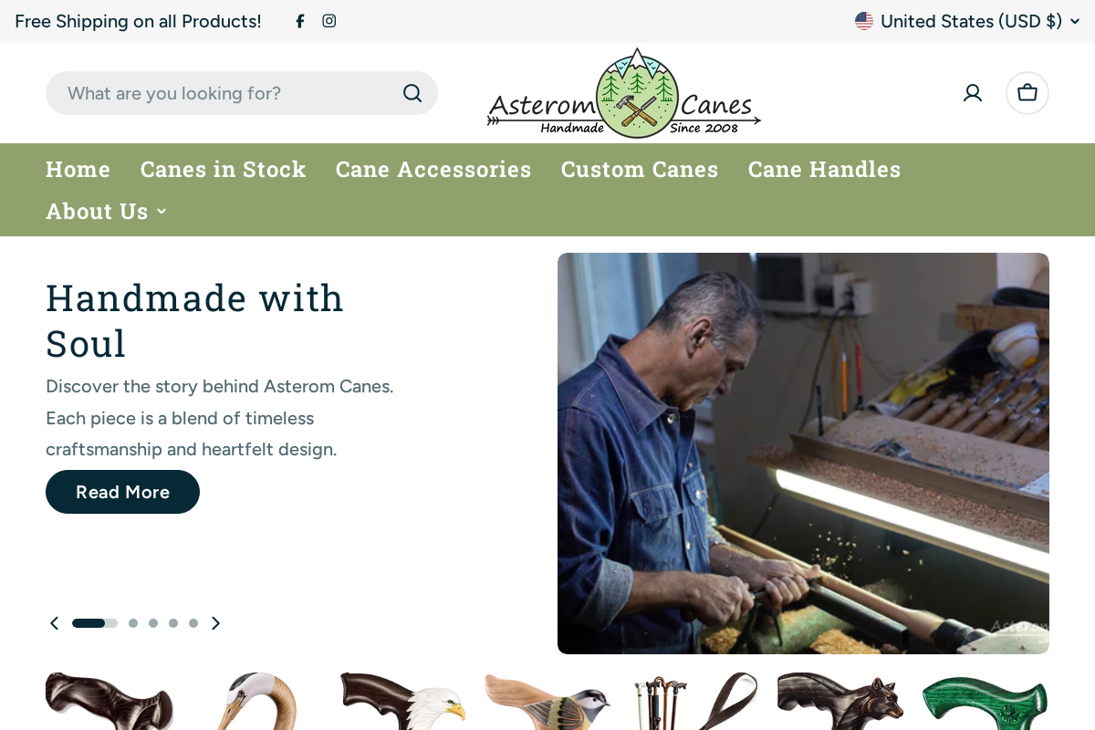 Asterom Canes homepage screenshot