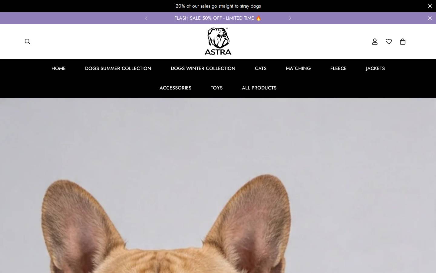 astra-shop-eg.com homepage screenshot