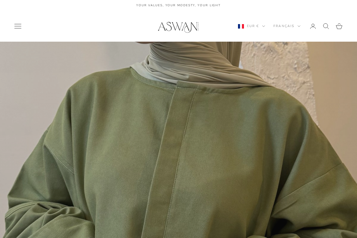 aswanco. homepage screenshot