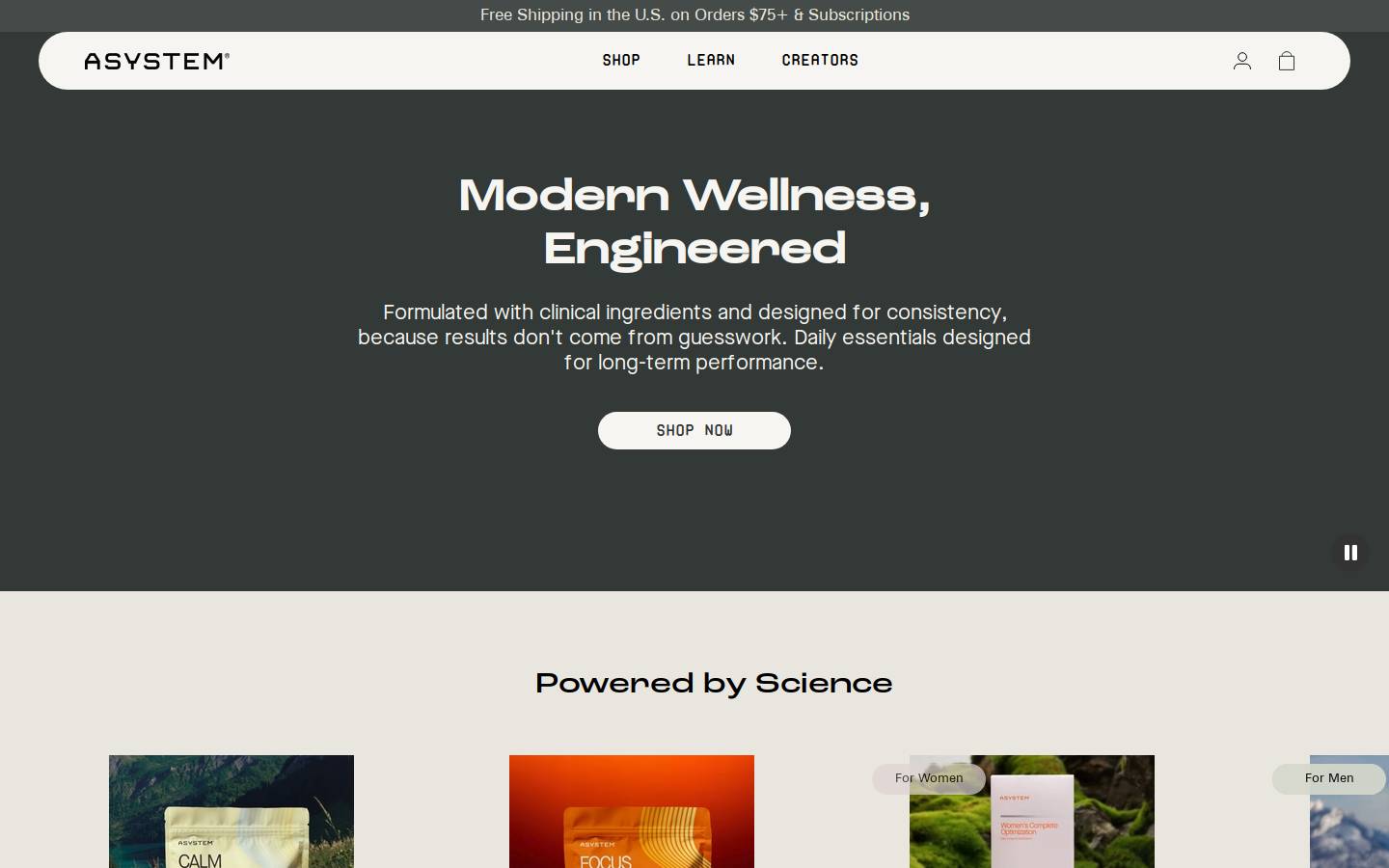 Asystem homepage screenshot