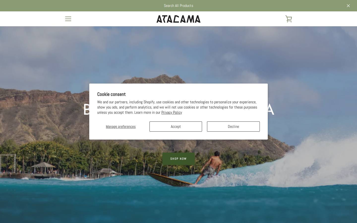 atacamasurf.com homepage screenshot