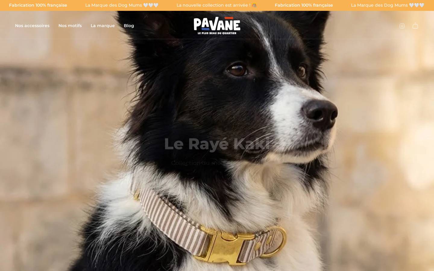 atelier-pavane.com homepage screenshot