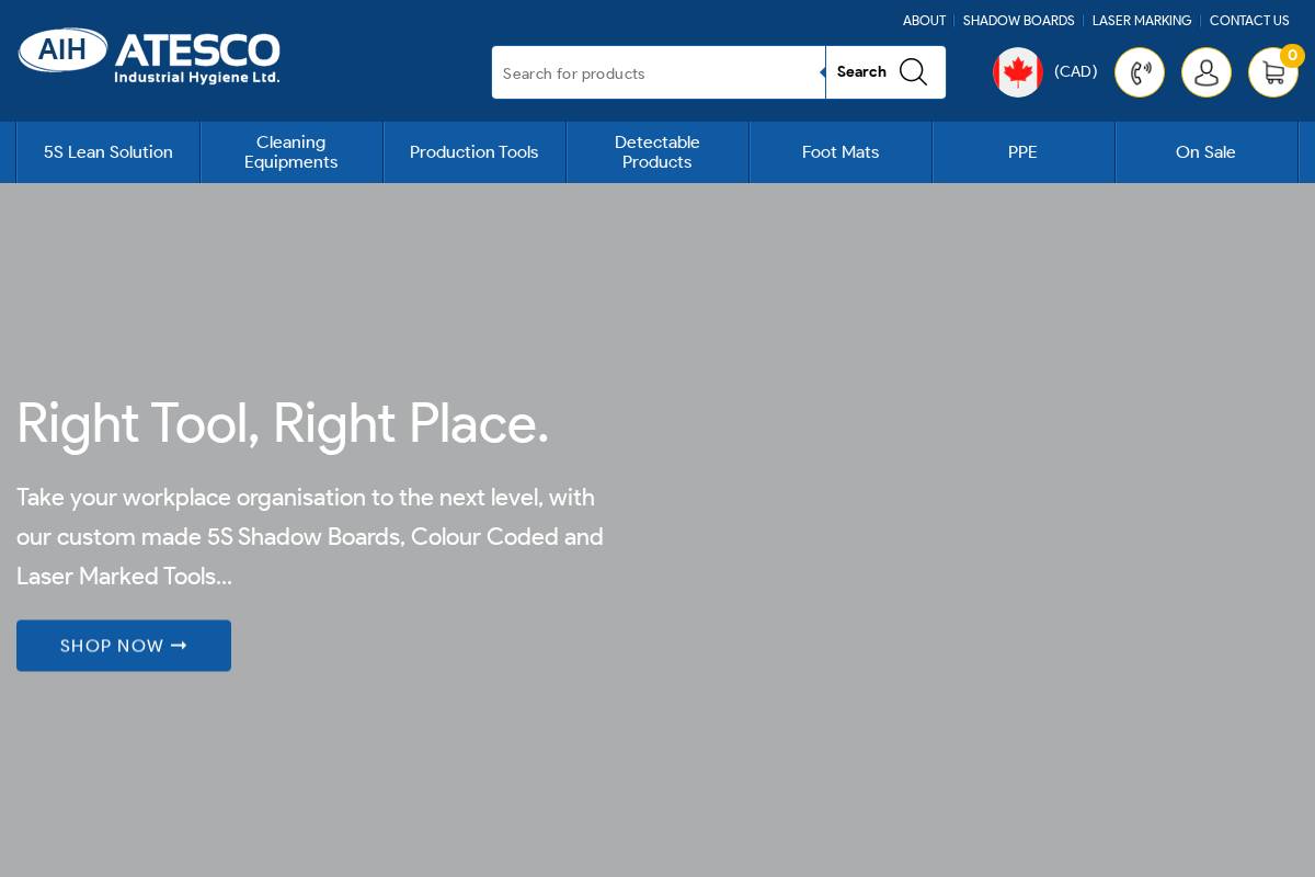 Atesco Industrial Hygiene homepage screenshot