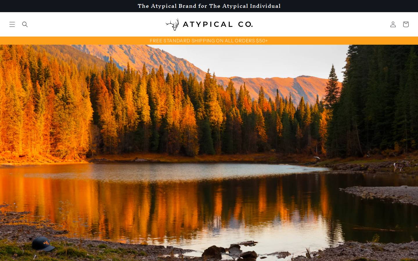 atypical-co.com homepage screenshot