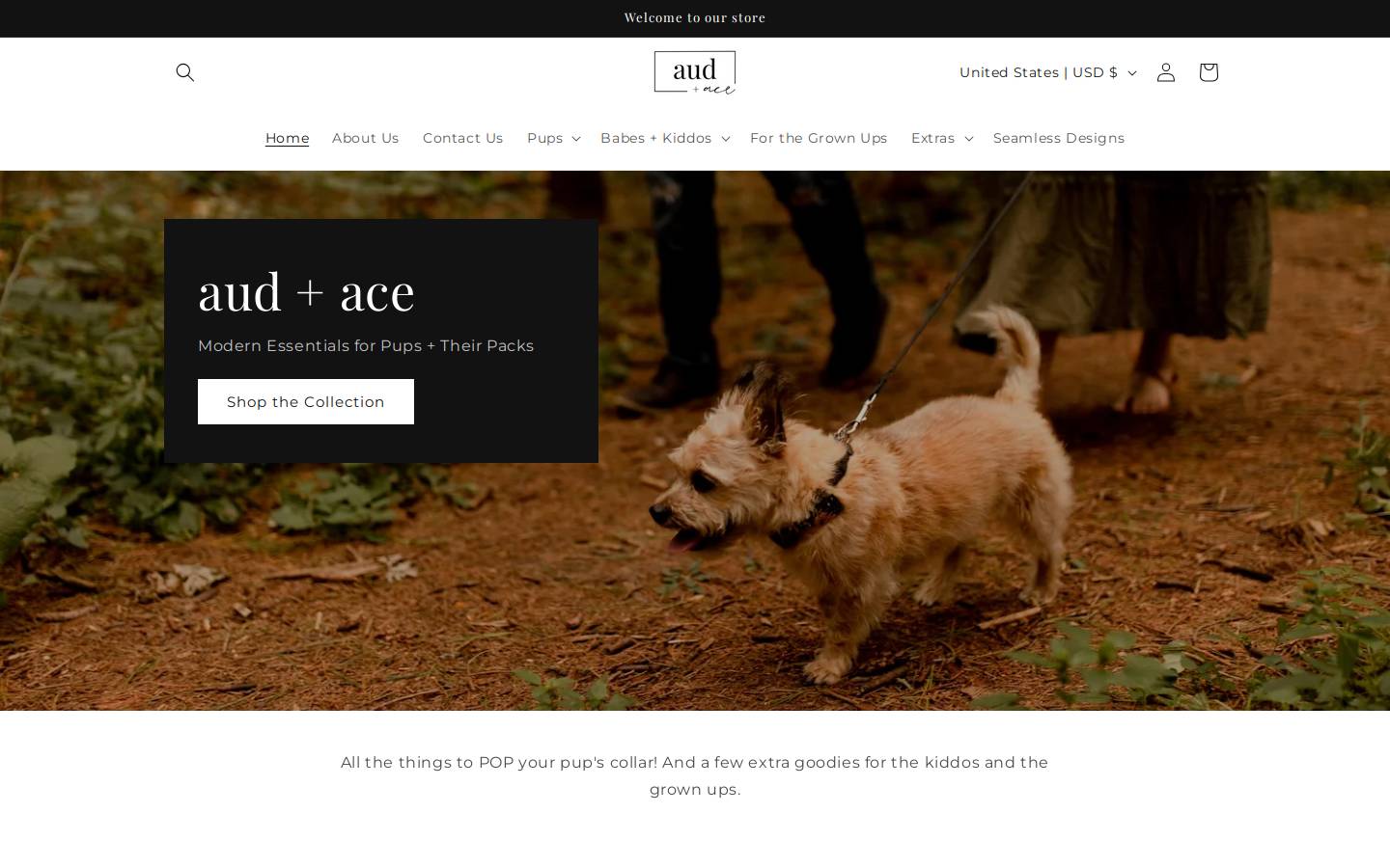 audandace.com homepage screenshot