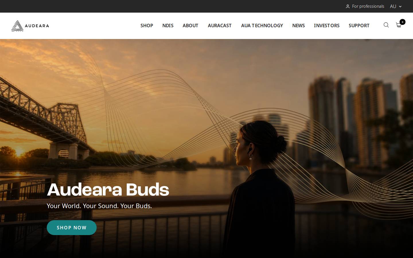 Audeara homepage screenshot