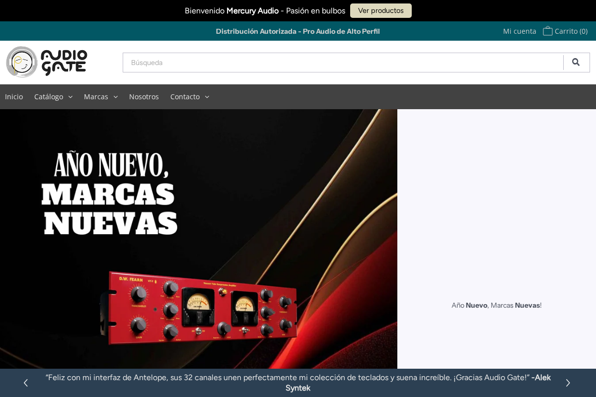 Audio Gate International homepage screenshot