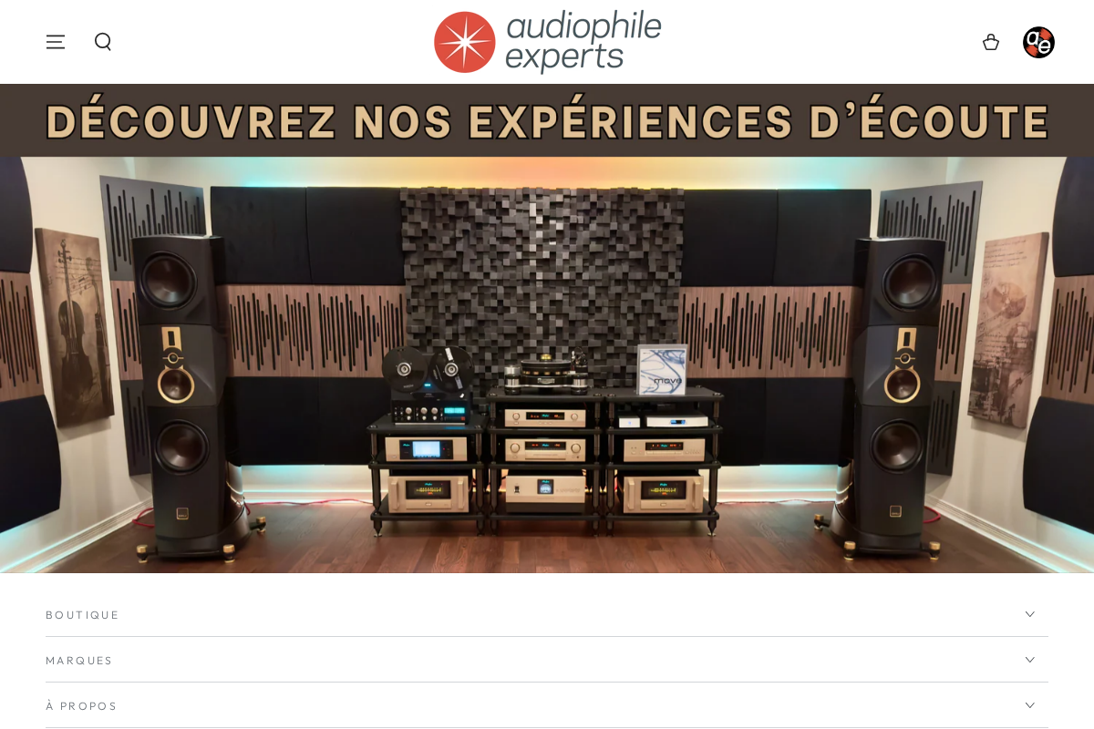 Multi Électronique homepage screenshot