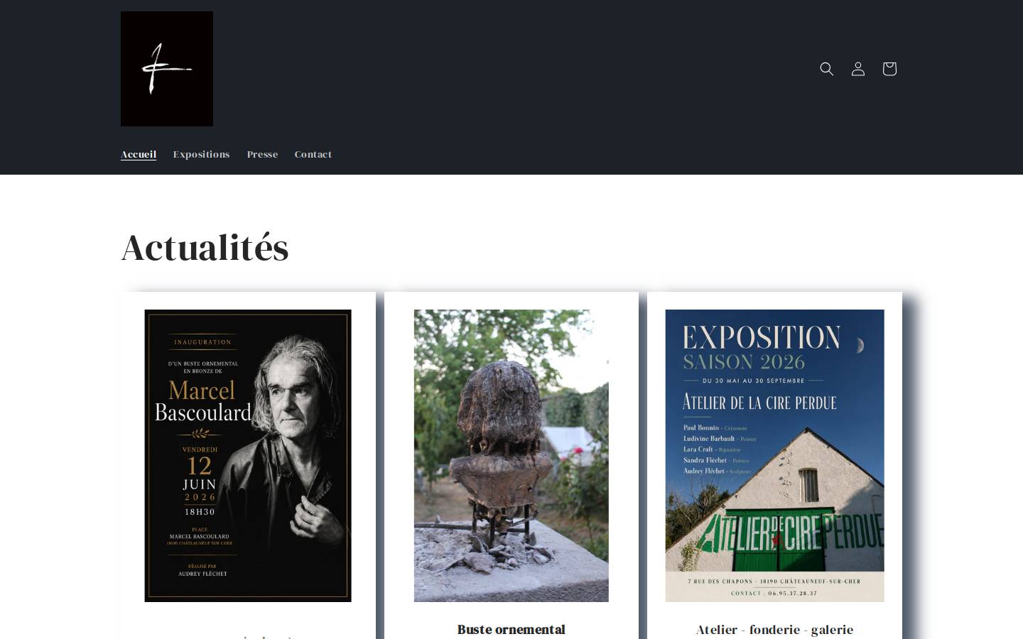 audreyflechet.com homepage screenshot