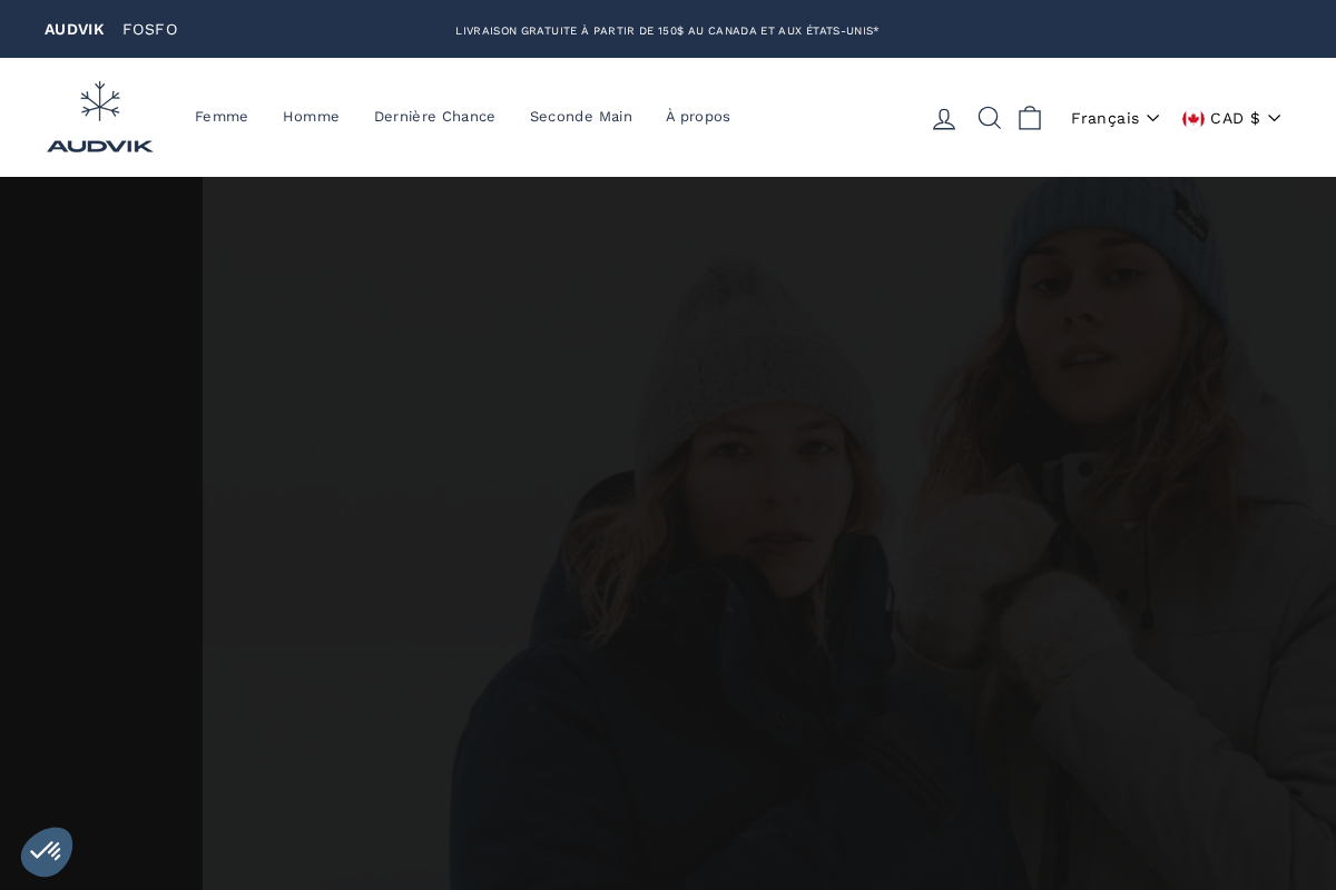 Audvik homepage screenshot