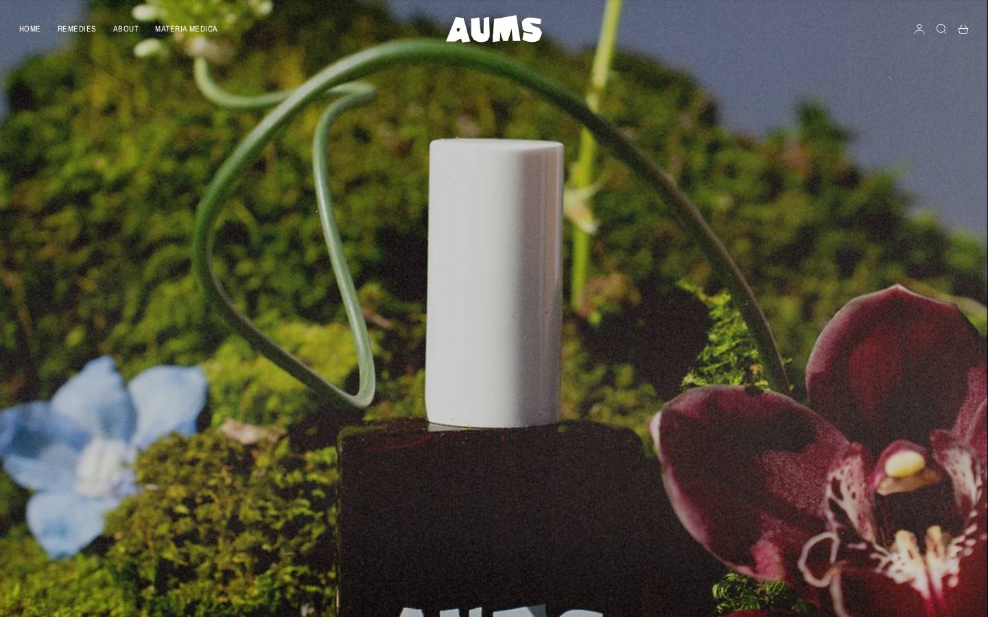 aums.co homepage screenshot