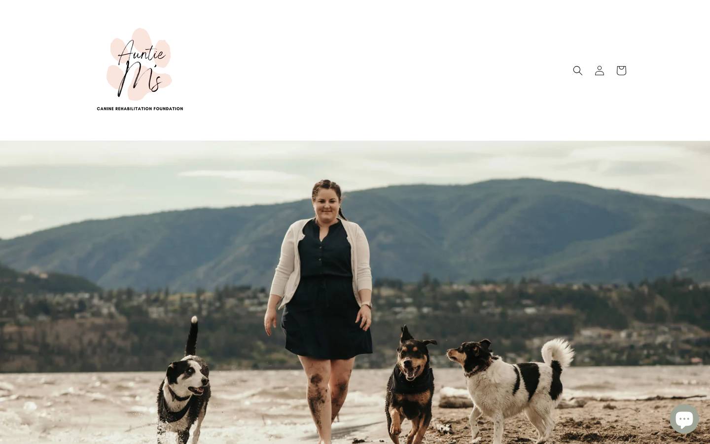 auntiemscaninerehabilitationfoundation.com homepage screenshot
