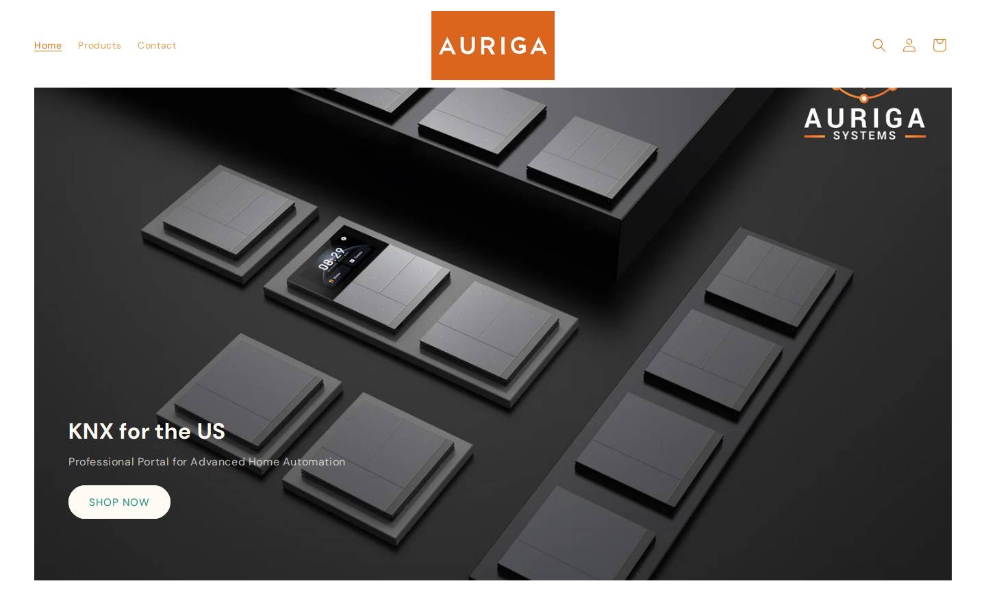 auriga-systems.com homepage screenshot
